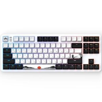 Клавиатура Dark Project 87 Fuji V2, White/Black, механическая (переключатели Linear g3ms Sapphire), UA/EN (DPKB_FUJI_87_ANSI_UA), 87 кнопок, USB, RGB подсветка, кабель 1.8 м