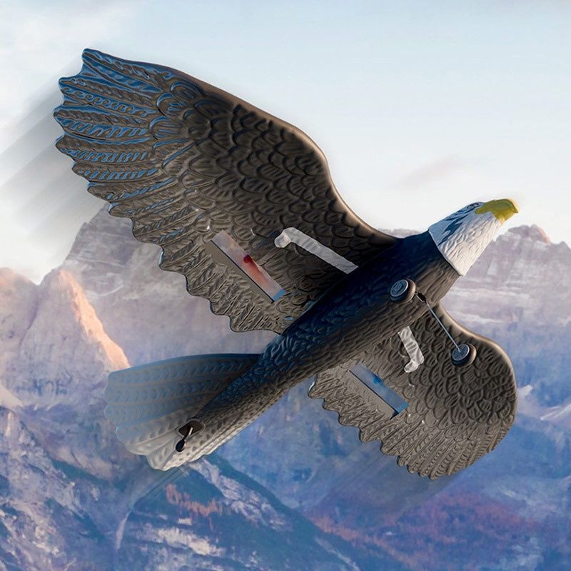 Літак на радіокеруванні SCHE HW40 Eagle, чорний