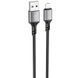 Дата-кабель Borofone BX83 Famous USB-Lightning 2.4A (1м), чорний